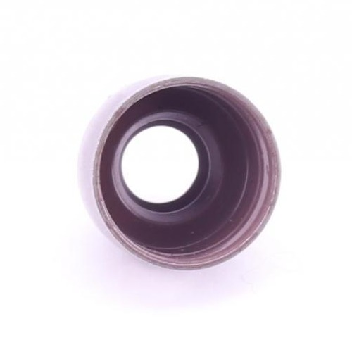 705359300 VICTOR REINZ